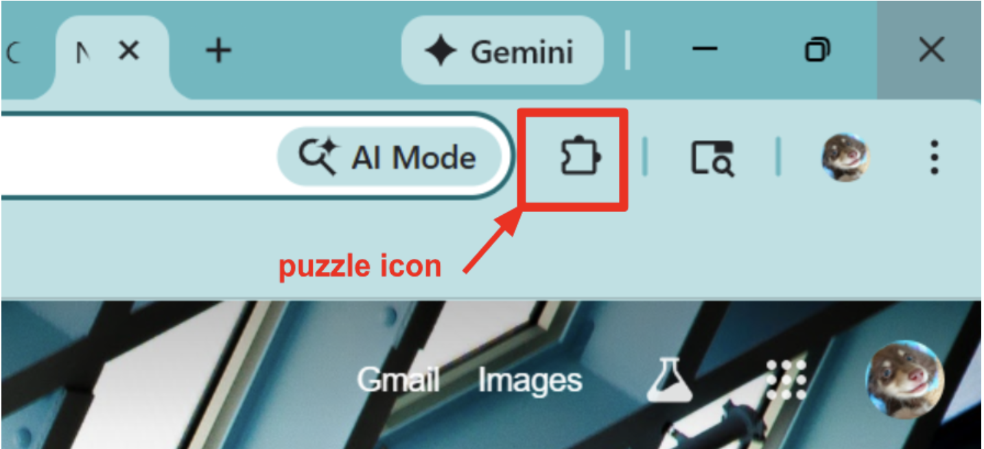 Screenshot of the Validate AI Chrome extension panel open in a browser